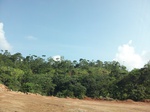 5643100_1081.JPG