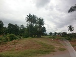 55868CIMG6557.JPG