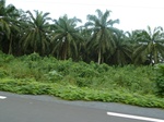 25512P1020357.JPG