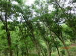53614CIMG6980.JPG