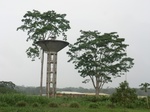 48184CIMG4521.JPG