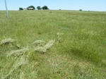 54025CENT20120516GPS.JPG
