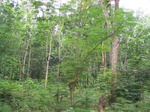 1694610052008(14).JPG