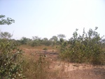 9032RIMG0110.JPG