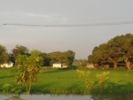 21958DSC00212.JPG