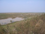 4658RIMG0082.JPG