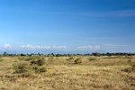 43649pic3.jpg