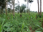 20086P1010937.JPG