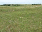 54021ACME20120514GPS.JPG
