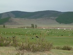 23426P1030263.JPG