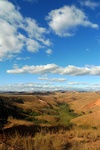 28515P1010527-1.JPG