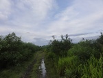 24857DSC01035.JPG