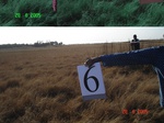 10803gt-006-wetland-seasonal-marshy-land-02.jpg