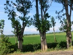 31406CIMG1269.JPG
