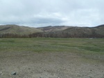 22308P1010445.JPG