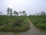 28246RIMG0246.JPG