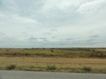 36047DSC02767.JPG