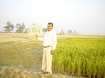 11394gt184-cropland-1.jpg