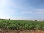 56116CIMG6817.JPG