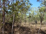 2012-08-28_20-34-49_P1010135.jpg
