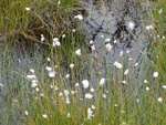 24919DSC00026.JPG
