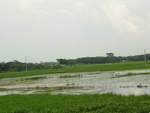 24558DSC00761.JPG