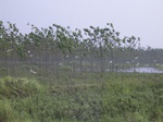 547R0015093.jpg