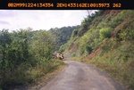 40458ANH1931.JPG