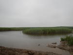 54485DSCN1766.JPG
