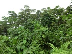 45532CIMG2617.JPG
