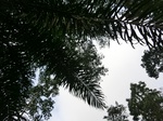 43459CIMG0266.JPG