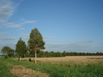 32580p225.jpg