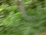 48837CIMG5174.JPG