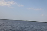 2024-08-05_17-04-29_9158F5A9-2739-4250-B377-B55B73F7B40F.jpeg