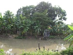 15649IMG_4721.JPG