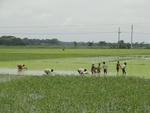 21999DSC00112.JPG