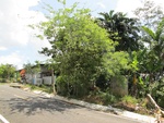 29582IMG_5143.JPG