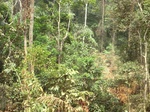 47158CIMG3495.JPG