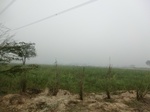 40202CIMG9099.JPG