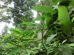 45601CIMG2686.JPG