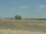 35261DSC02466.JPG