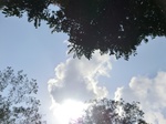 46479CIMG0768.JPG