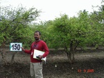 125570150c-irrigated-supplemental-groundwater-sugarcane-dominant-pomogranate.gif