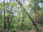 496519042008(61).JPG