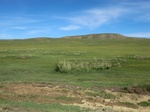 37953CIMG1761.JPG