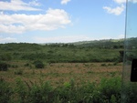 32126IMG_0172.JPG
