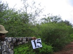 823115-shrubland-densest-iucnb.jpg