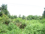 15491IMG_4561.JPG