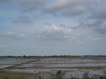 15655IMG_4727.JPG