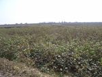 444020071119gps (12).JPG